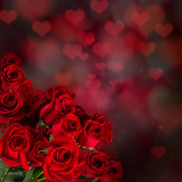 Valentine röd ros abstrakt bakgrund. — Stockfoto