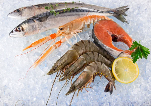 Fresh seafood on crushed ice. — Stock Photo, Image