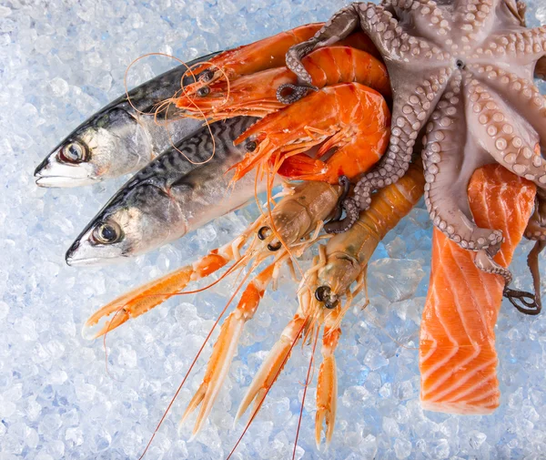 Fresh seafood on crushed ice. — Stock Photo, Image