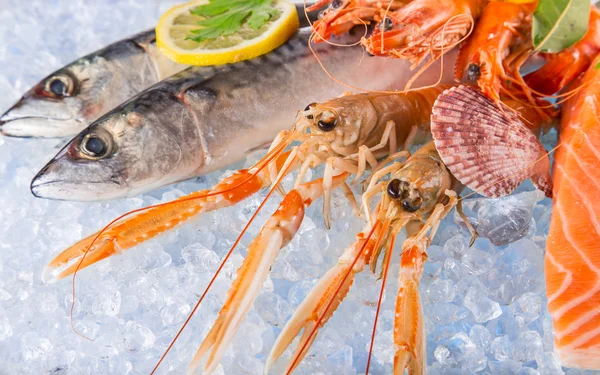 Fresh seafood on crushed ice. — Stock Photo, Image