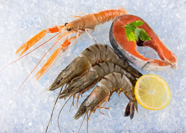 Makanan laut segar di atas es yang hancur . — Stok Foto