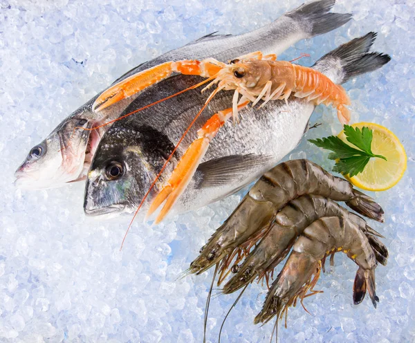 砕いた氷に新鮮な魚介類. — ストック写真
