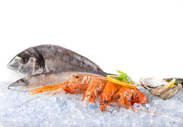 Fresh seafood on crushed ice. — Stock Photo, Image