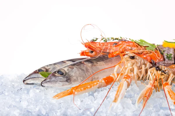 Fresh seafood on crushed ice. — Stock Photo, Image