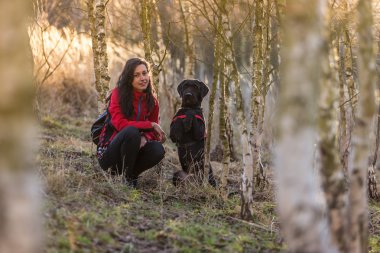 Huş ağacı orman köpek ile oturan kız