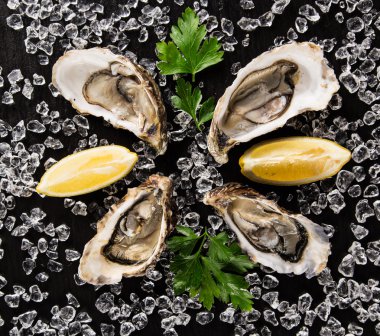 Siyah bir taş üzerinde taze istiridye