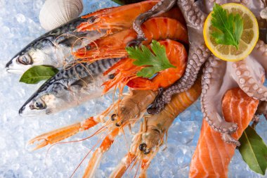 Kırılmış buz üzerinde taze deniz ürünleri.