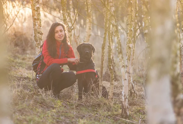 Huş ağacı orman köpek ile oturan kız