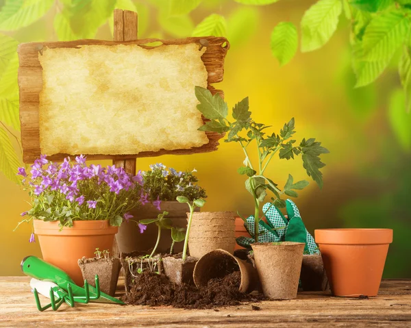 Herramientas de jardinería y flores sobre fondo de madera — Foto de Stock