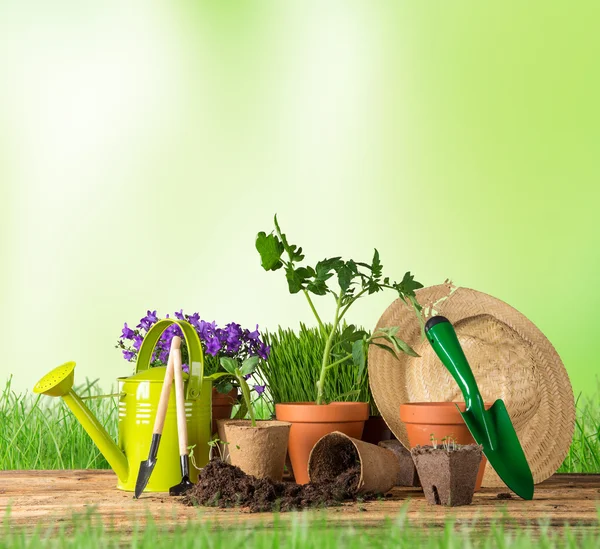 Gardening tools and flowers on wooden background — Stock Photo, Image