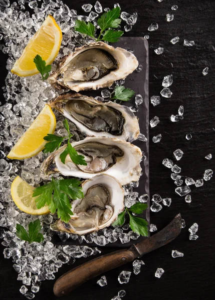 Fresh oysters on a black stone — Stock Photo, Image