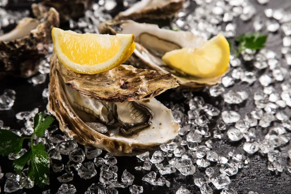 Verse oesters op een zwarte steen — Stockfoto