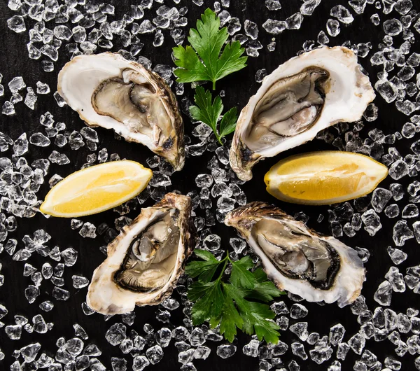 Fresh oysters on a black stone — Stock Photo, Image