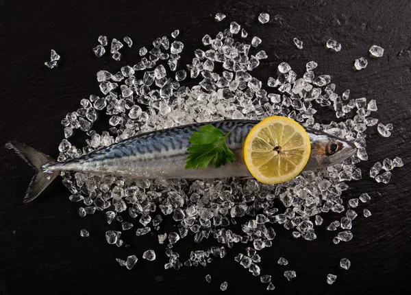 Fresh seafood on black stone. — Stock Photo, Image