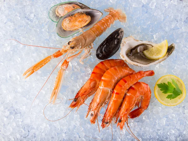 Fresh seafood on crushed ice. — Stock Photo, Image