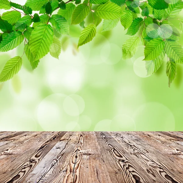Фон природы с деревянным столом — стоковое фото