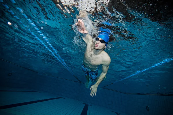 Swimmer at the swimming pool. — Stock Photo, Image