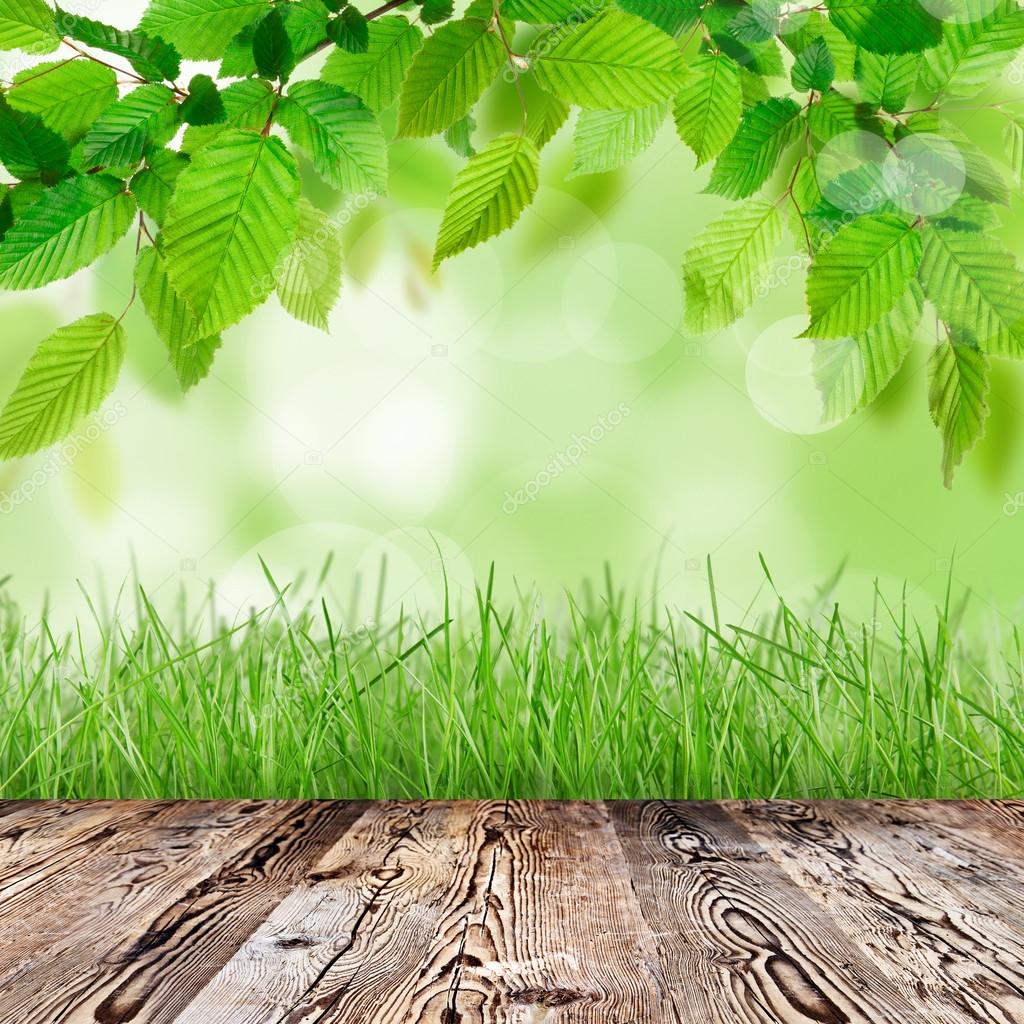 Nature background with wooden table — Stock Photo © Kesu01 98432508