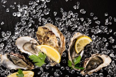 Siyah bir taş üzerinde taze istiridye