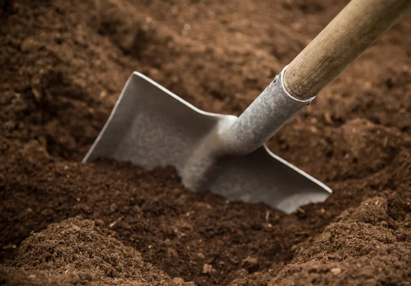 Shovel in the ground — Stock Photo, Image