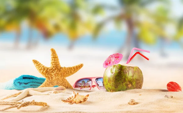 Coco de verão na praia tropical. — Fotografia de Stock