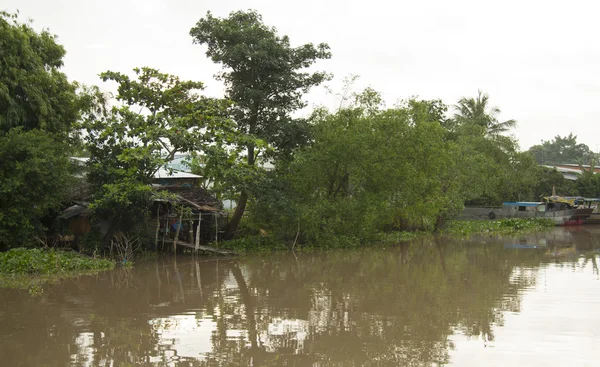 Salida del sol en el Delta del Mekong — Foto de Stock