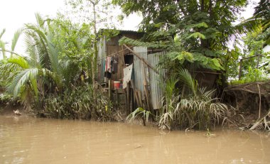 Mekong Delta ormanın içinde zavallı kulübe