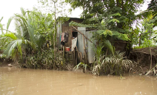Pobre cabaña en la selva del delta del Mekong — Foto de Stock