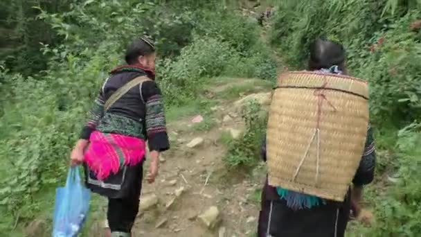 Hmong Le donne minoritarie camminano attraverso la foresta — Video Stock