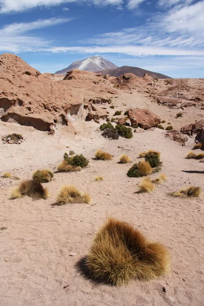 Atacama desert with Ollague volcano, Bolivia — Stock Photo, Image