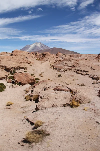 Atacama pedra deserto com vulcão Ollague, Bolívia — Fotografia de Stock