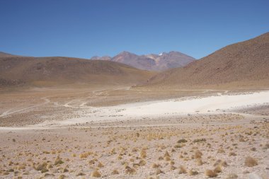 Atacama Çölü Bolivya
