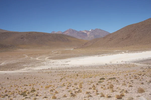 Atacama-sivatag, Bolívia — Stock Fotó