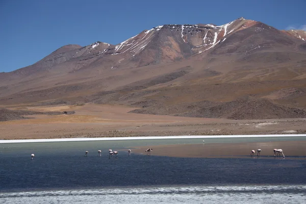 Hermoso paisaje de montaña —  Fotos de Stock