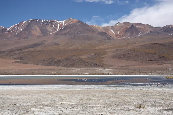 Andes — Stockfoto