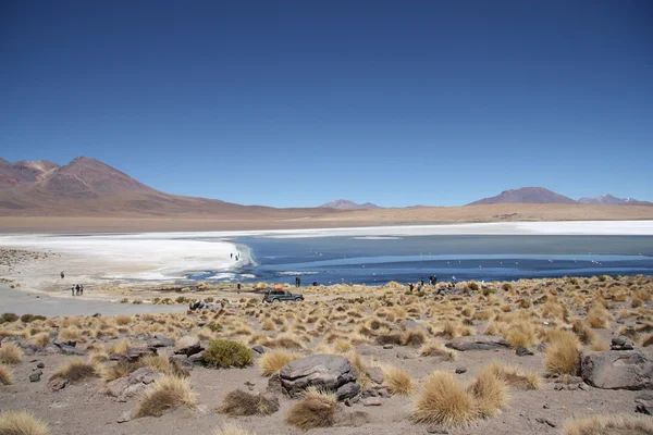 阿塔卡马沙漠的景观石和玻利维亚的咸水湖 — 图库照片