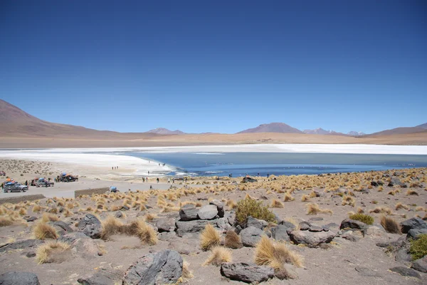 Atacama Deserto pedra paisagem e lagoa em Uyuni — Fotografia de Stock