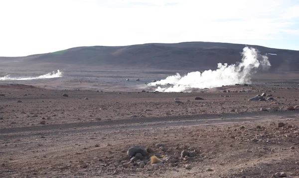 Geysers in Bolivia — Stock Photo, Image