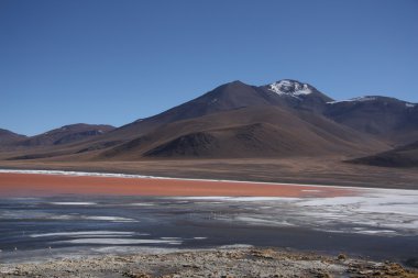 Laguna Colorada with a volcano behind the lake