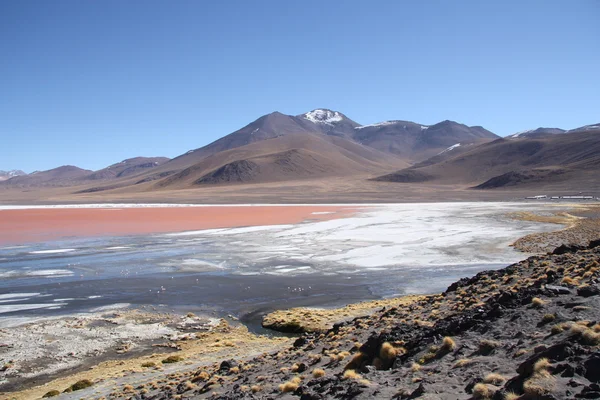 Paisaje de montaña con Laguna Colorada en Bolivia —  Fotos de Stock