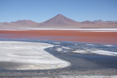 Beautiful landscape with Laguna Colorada in Bolivia
