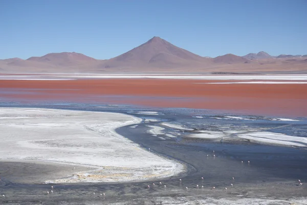 Beautiful landscape with Laguna Colorada in Bolivia — стокове фото