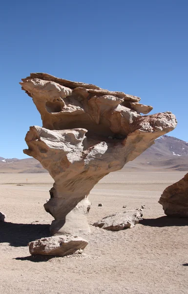 Arbol de Piedra, Arbre à Pierre dans le désert d'Atacama, Bolivie — Photo