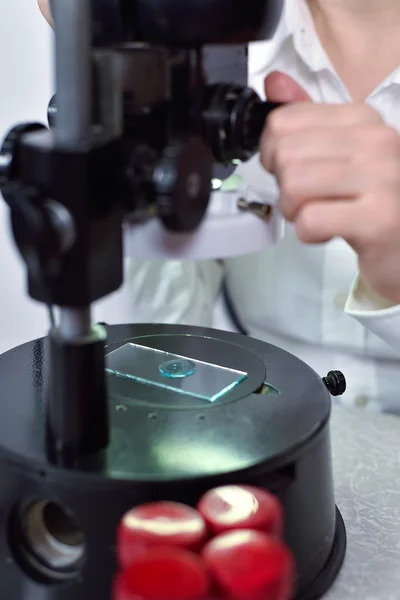 Examining samples and liquid — Stock Photo, Image