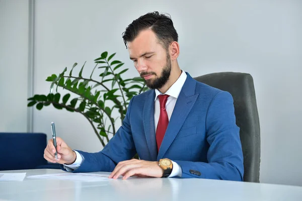 Skäggig Revisor Som Arbetar Med Affärsredovisning Ekonomi Och Förvaltning — Stockfoto