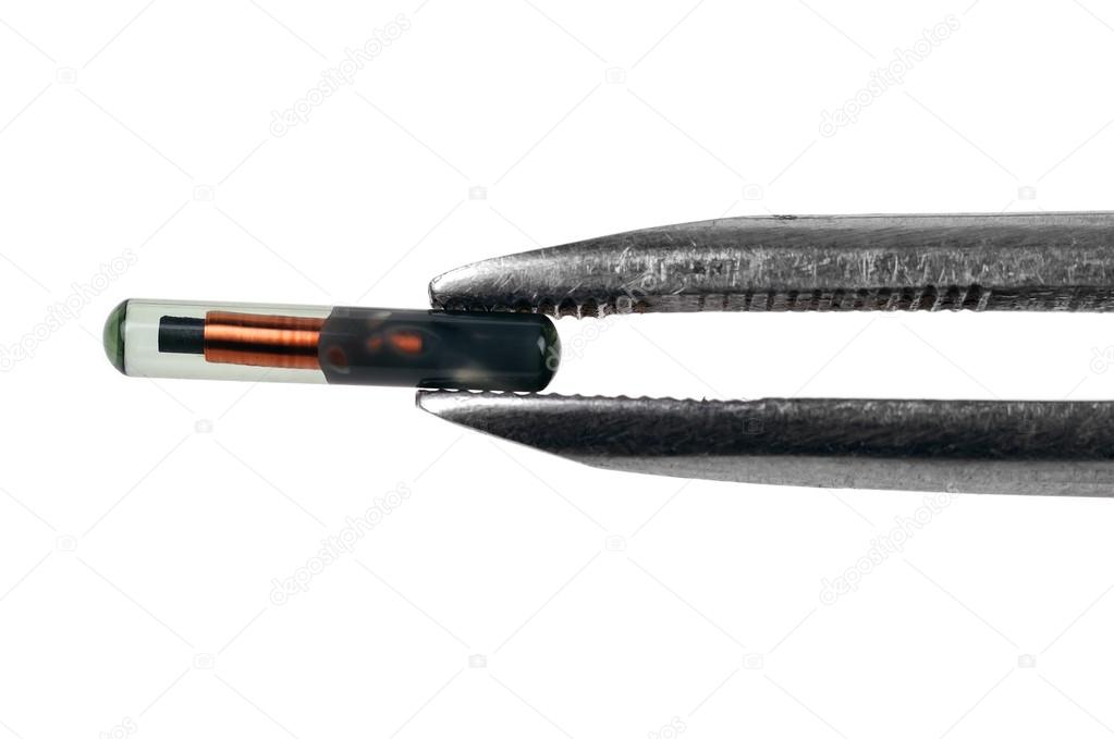 Animal implant id — Stock Photo © vetkit #52379355