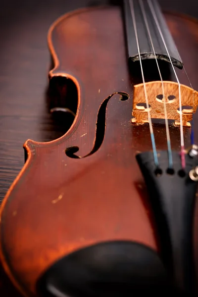 Classic old violin — Stock Photo, Image