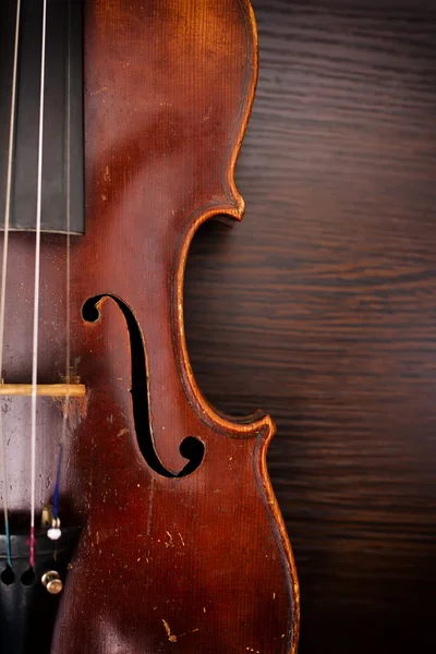 Classic music violin — Stock Photo, Image