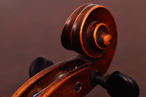 Cap de vioară — Fotografie, imagine de stoc