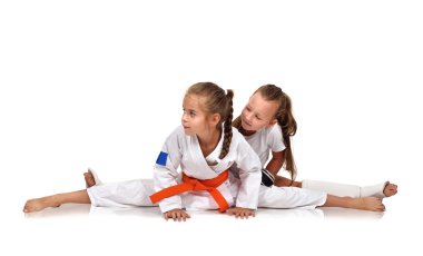 two karate girl clipart
